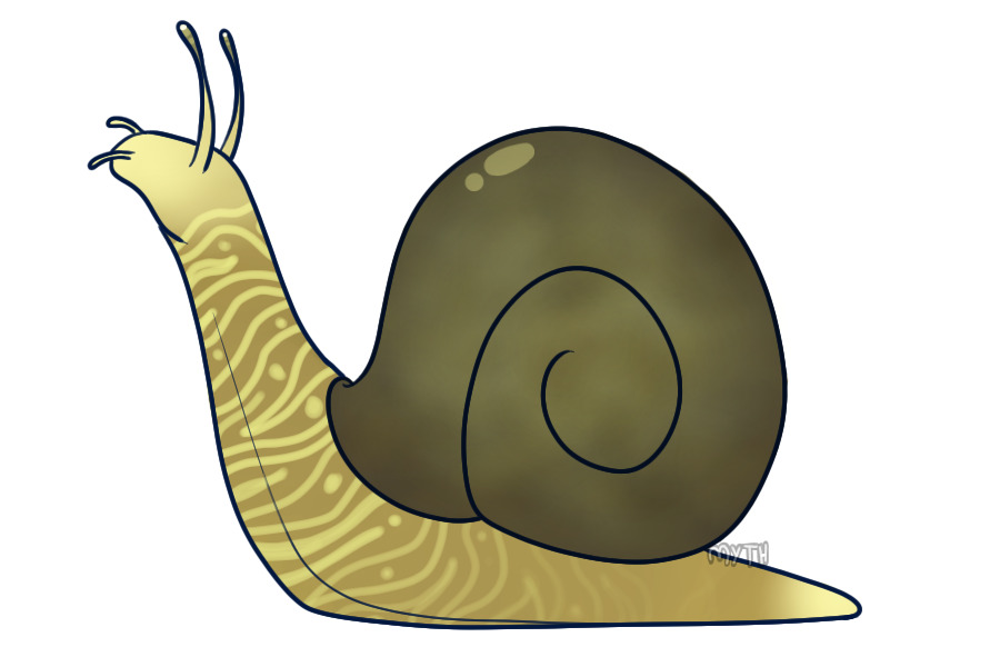 Glorious Snail