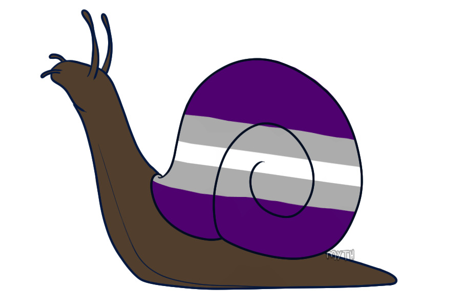 Grey the greysexual snail