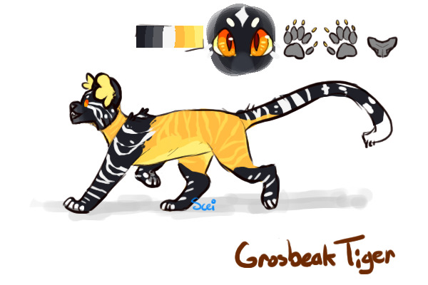 Grosbeak Tiger
