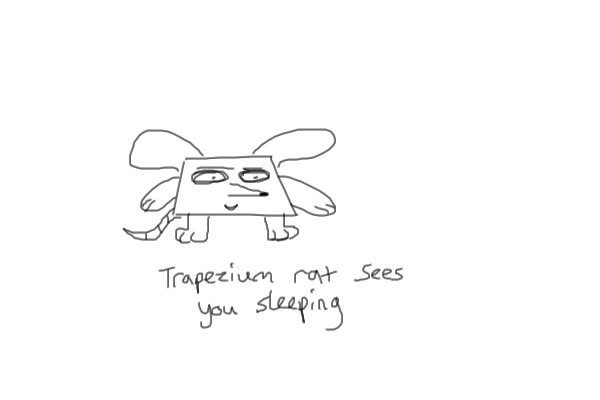 Trapezium rat
