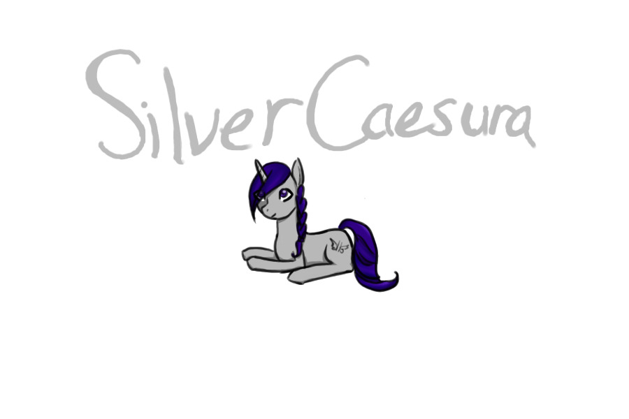 Silver the pony