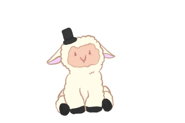 baby sheep