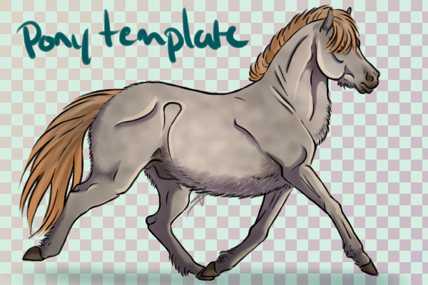 CG Pony Template
