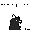 Cat Avatar with Username