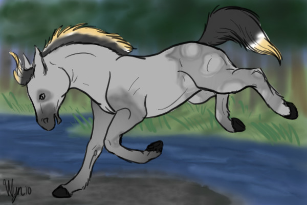 Dapple horse