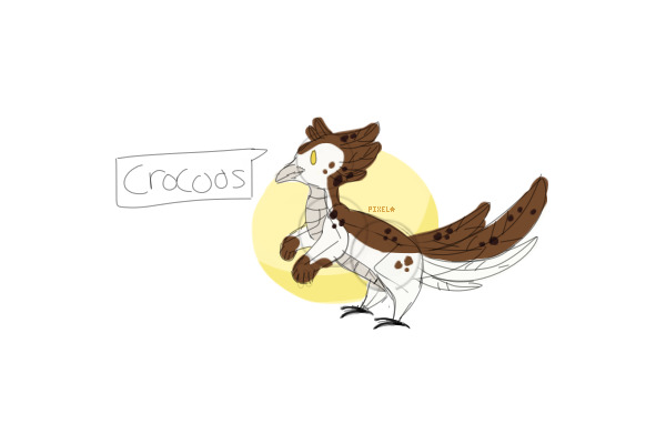 crocoos