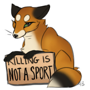 Animal rights-fox