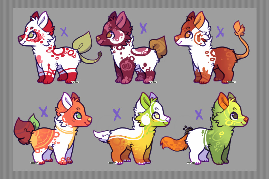 Doggo adopts #3 | Fruity punch !