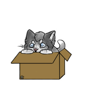 box kitty ♡