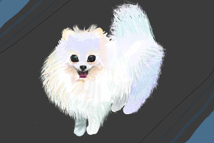 Pomeranian Puppy! First Photorealism Attempt!