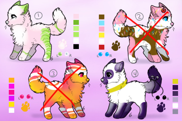 dog adopts (2/4 open)