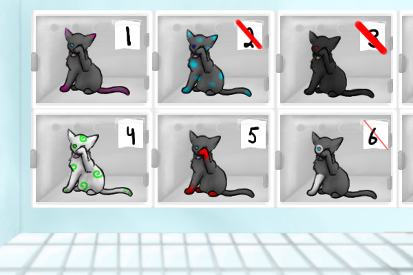 Adopt A Kitty :3
