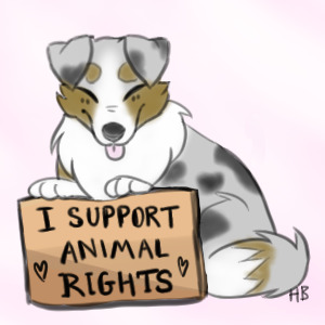 Support Animal Rights