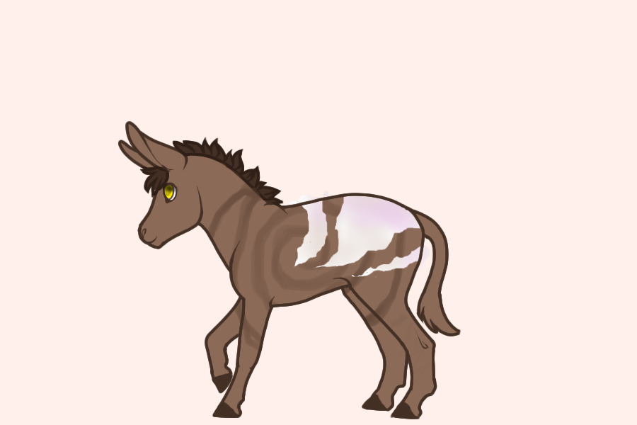 Orphan foal #002