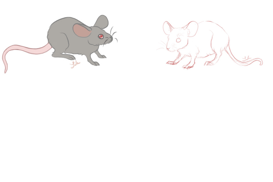 rodentia sketches