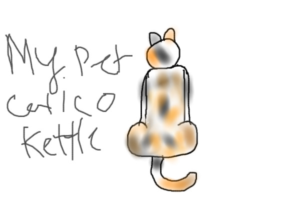 Kettle my calico