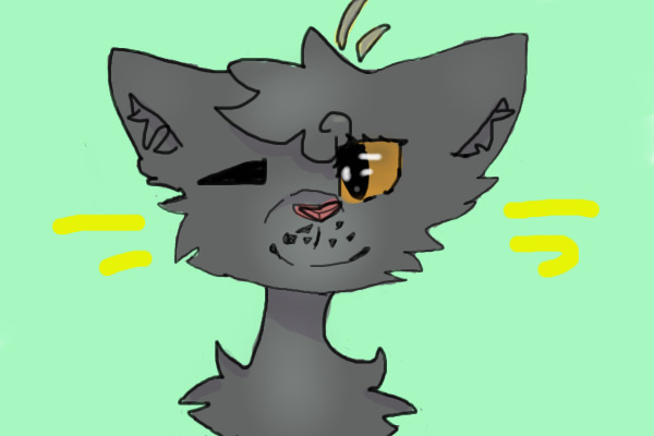 Pickles The Cat