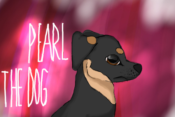 Pearl The Dog! 🐾