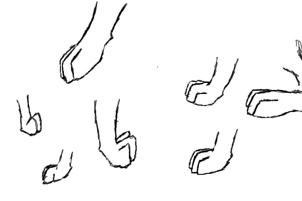 random basic paw practise in different styles