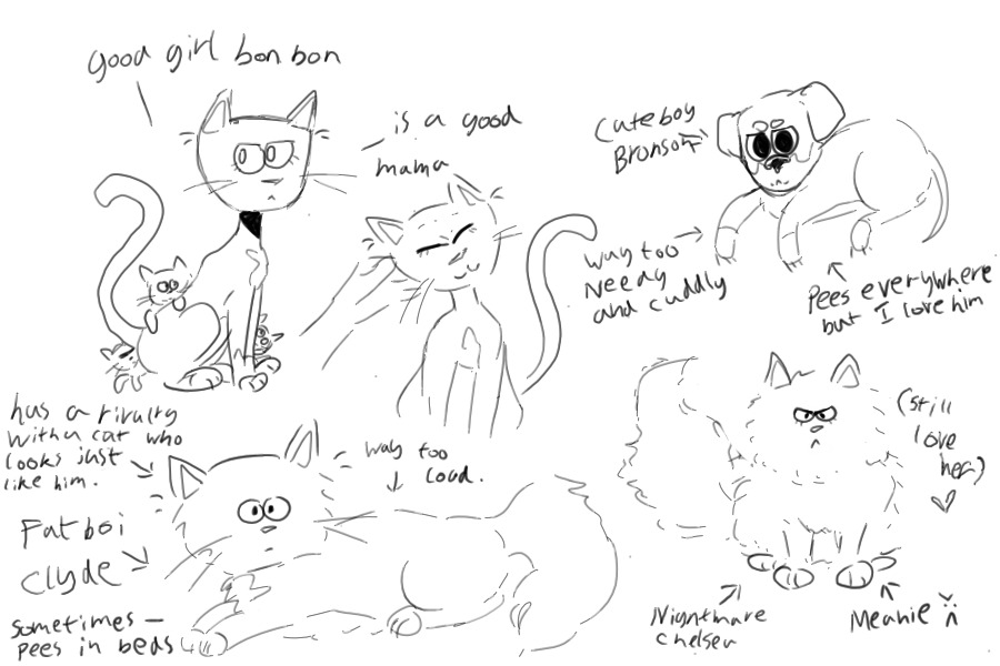 gay draws pets but cant draw pets one bit