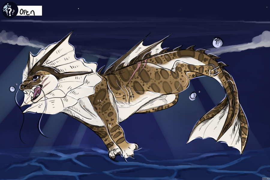 Eevee #25|| Leopard Shark