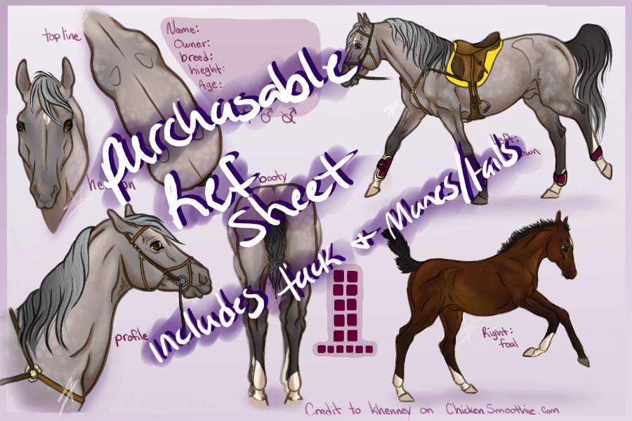 Full Equine Reference Sheet Template- includes tack