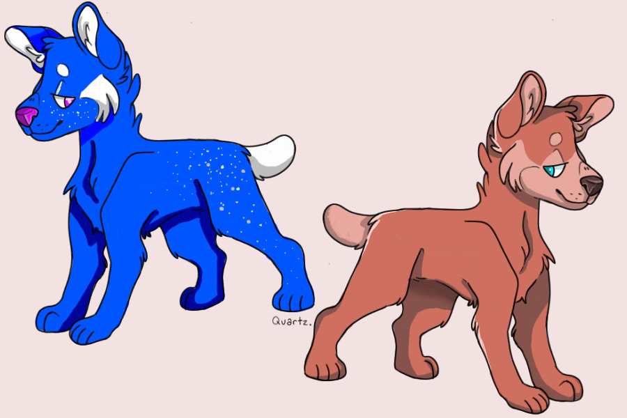 colored in puppies