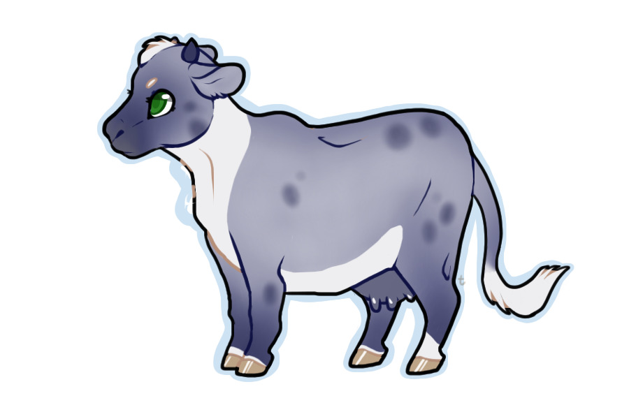 Blue Roan w/ White