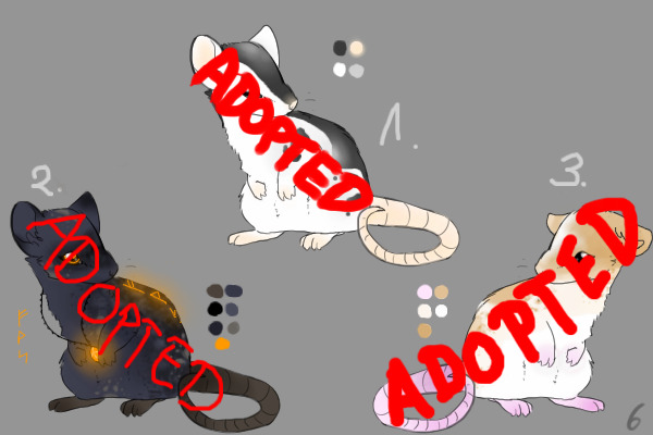 =9= Rat Adoptables! [CLOSED]