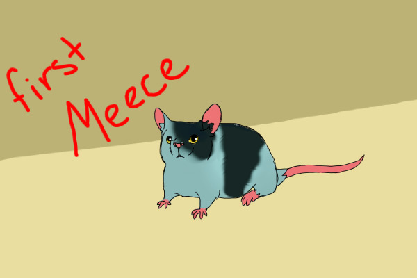 First Meece