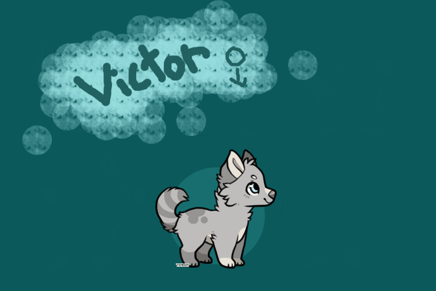 Meet Victor!