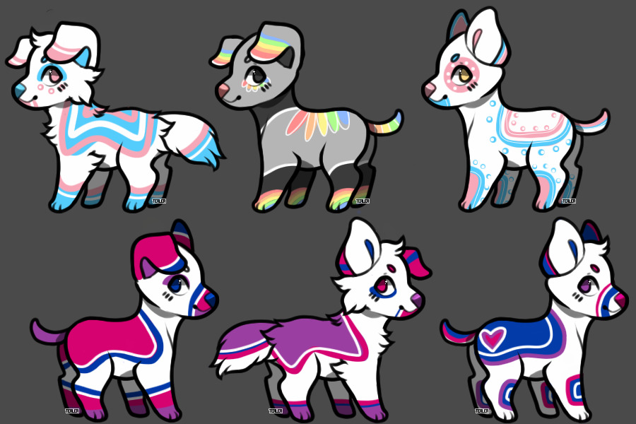 even more pride pup adopts