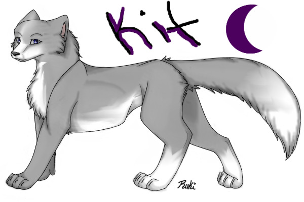 Kit