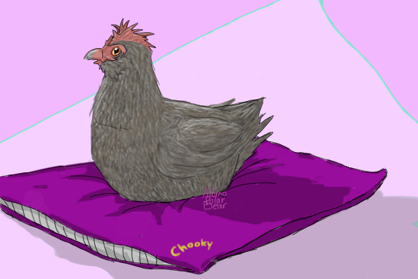 Chooky (Compleated)
