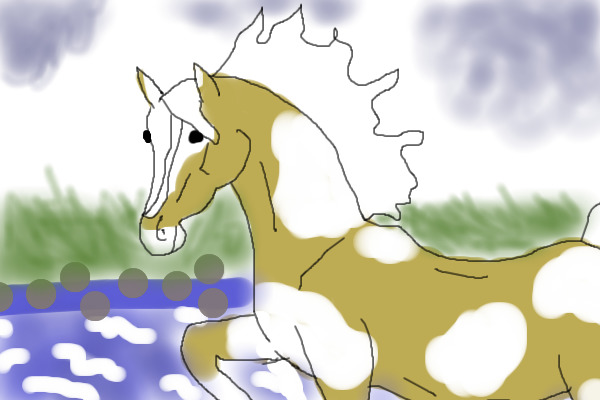Paint Mare