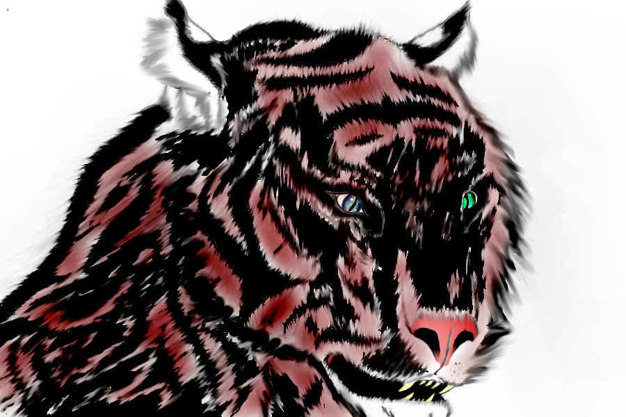 Red Ride Tiger