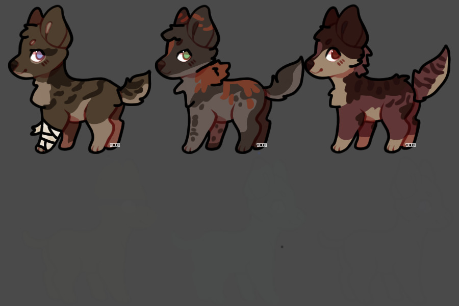 Customs for Nillabea