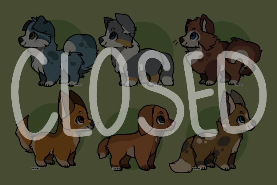 Canine Adopts (CLOSED)