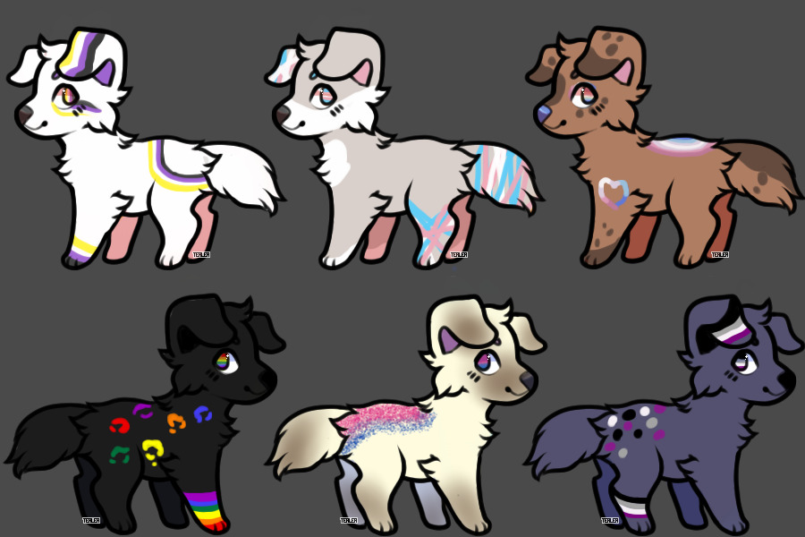 pride pup adopts!