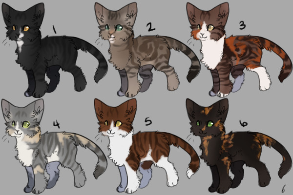 More Cats