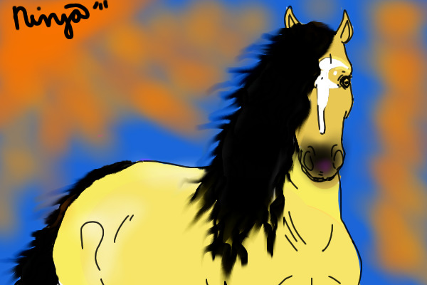 horse picture