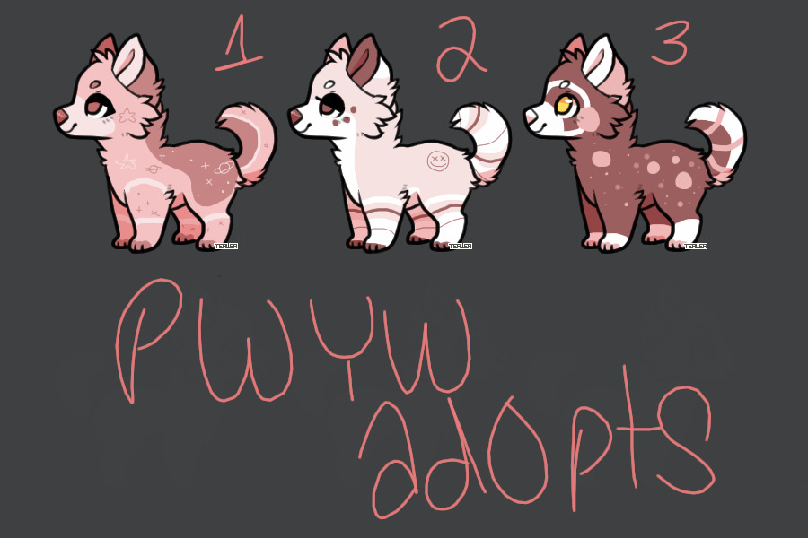 PWYW ADOPTS