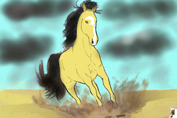 Thunder