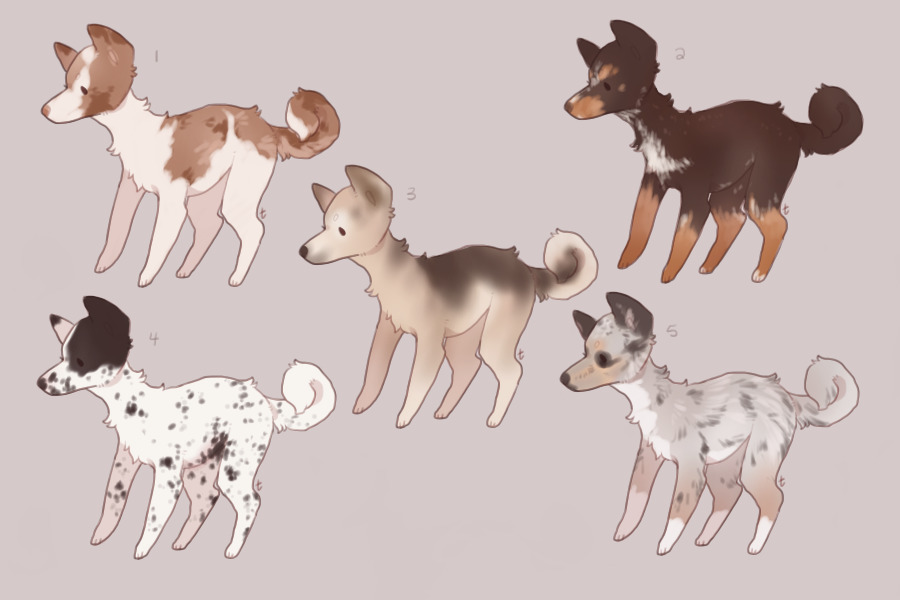 Adopt Us