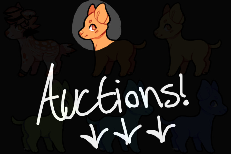 !AUCTIONS! (LOOK AT COLORED IN)