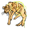Cat pixel lines