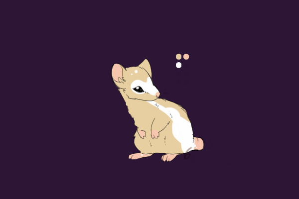 Rat Adoptable - 1/1