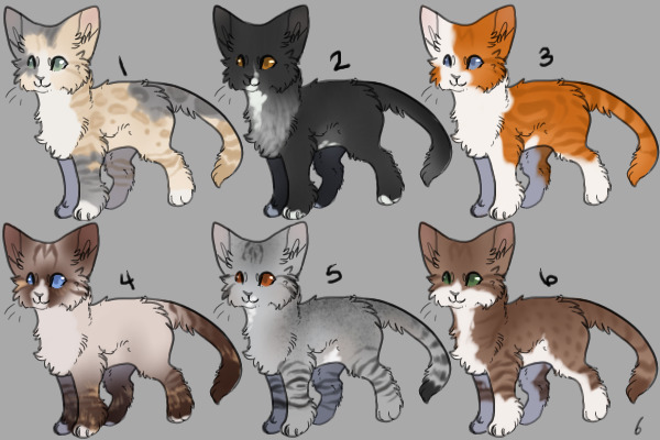 adopt us