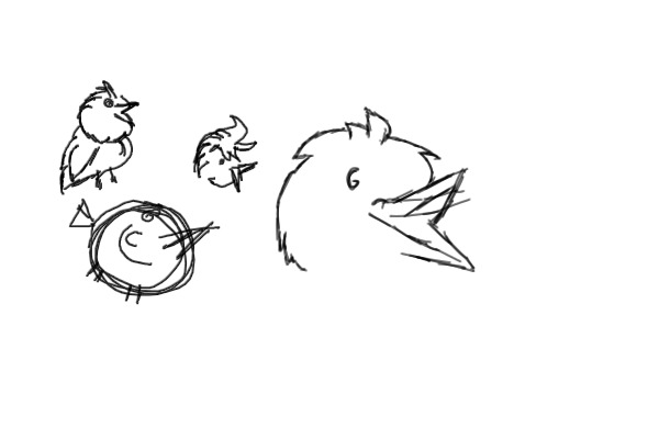 birb sketches?? first oekaki ever