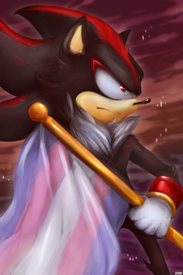shadow the hedgehog says trans rights